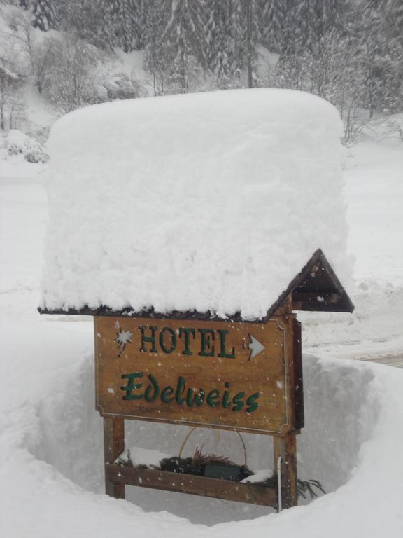 Hotel Edelweiss Val di Zoldo Kültér fotó